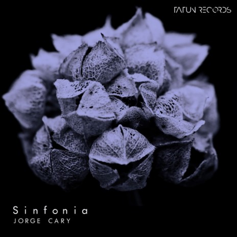 Sinfonia (Original Mix) | Boomplay Music