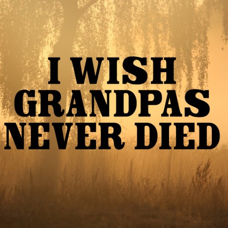 I Wish Grandpas Never Died (Instrumental) | Boomplay Music