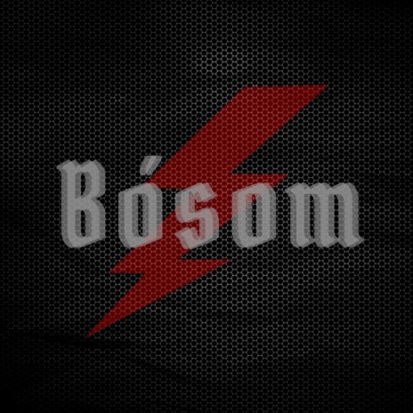 Bósom (Intro) | Boomplay Music