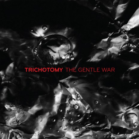 The Gentle War | Boomplay Music