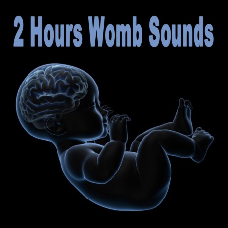 2 Hours Womb Sounds (Gets Baby to Sleep Fast! Calms Crying Babies & Colic) | Boomplay Music