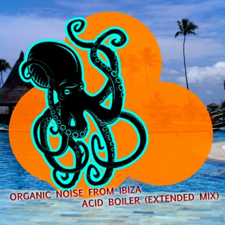 Acid Boiler (Extended Mix) | Boomplay Music
