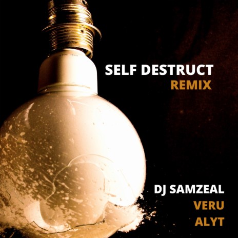 Self Destruct (Remix)