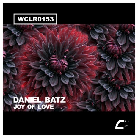 Joy Of Love (Original Mix) | Boomplay Music