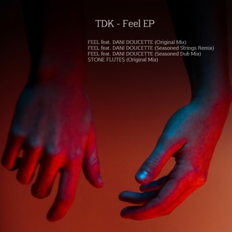Feel (Original Mix) ft. Dani Doucette | Boomplay Music