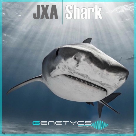 Shark (Extended Mix) | Boomplay Music