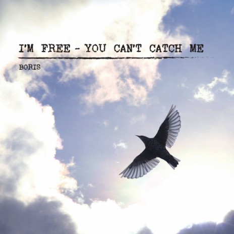 I'm Free - You Can't Catch Me | Boomplay Music