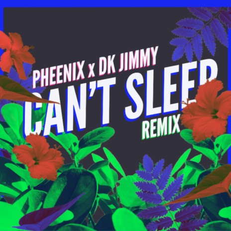 Can't Sleep (Remix) ft. DK Jimmy