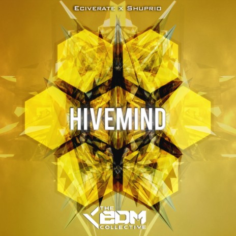 Hivemind (Original Mix) ft. Shuprio | Boomplay Music