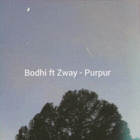 Purpur ft. Zway | Boomplay Music