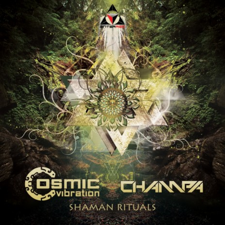 Shaman Rituals (Original Mix) ft. Champa | Boomplay Music