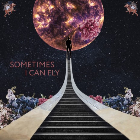 Sometimes I Can Fly | Boomplay Music