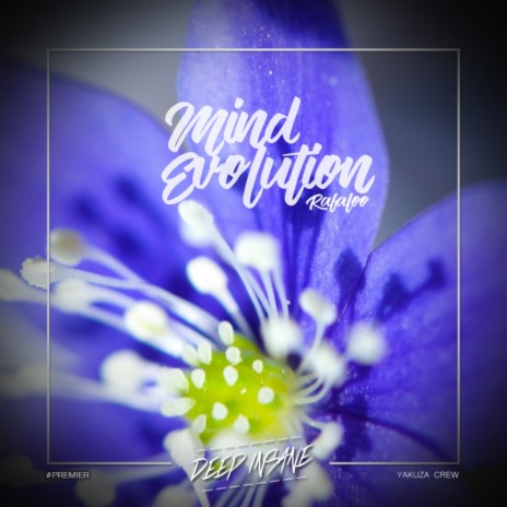 Mind Evolution (Original Mix) | Boomplay Music