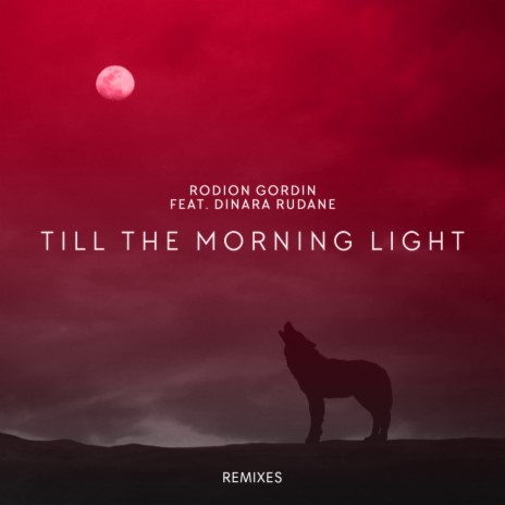 Till The Morning Light (DJ Plastic Remix) ft. Dinara Rudane | Boomplay Music