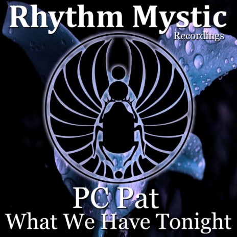 What We Have Tonight (Original Mix)
