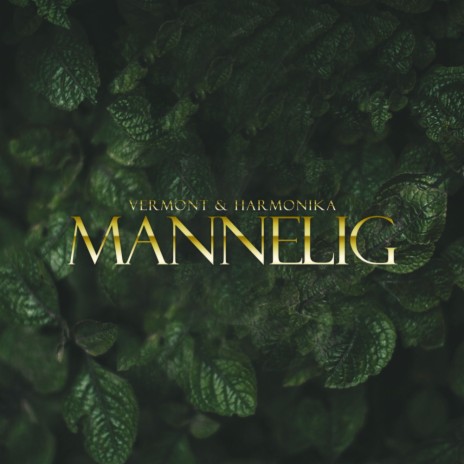 Mannelig (Original Mix) ft. Harmonika | Boomplay Music