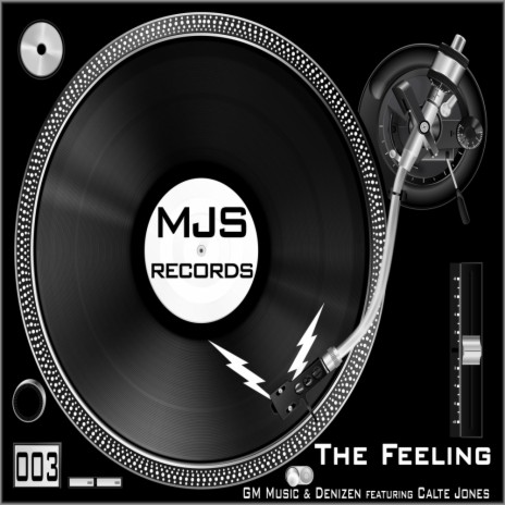 The Feeling (Original Mix) ft. Denizen & Calte Jones | Boomplay Music