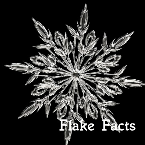 Twelve Branched Snowflakes | Boomplay Music