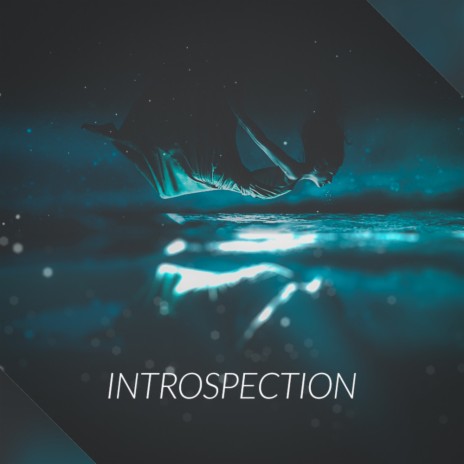 Introspection (Original Mix) ft. Rapzor | Boomplay Music