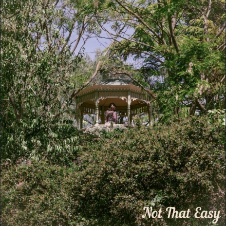 Not That Easy | Boomplay Music