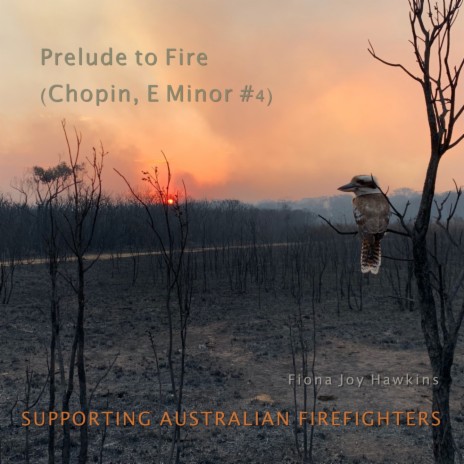 Prelude to Fire (Chopin, E Minor #4) ft. Eugene Friesen