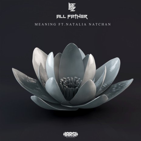 Meaning (Original Mix) ft. Lutez & Natalia Natchan | Boomplay Music