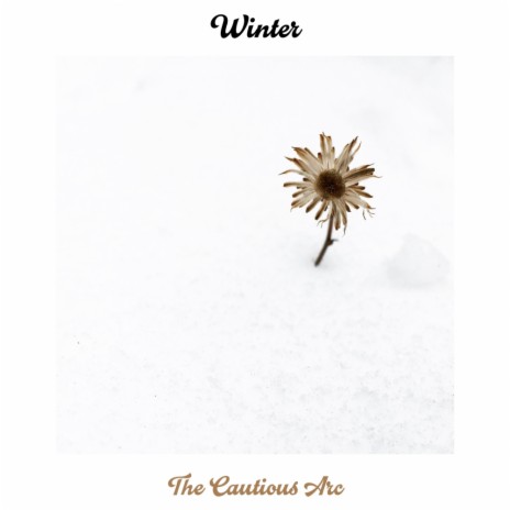 Winter (Original Mix)