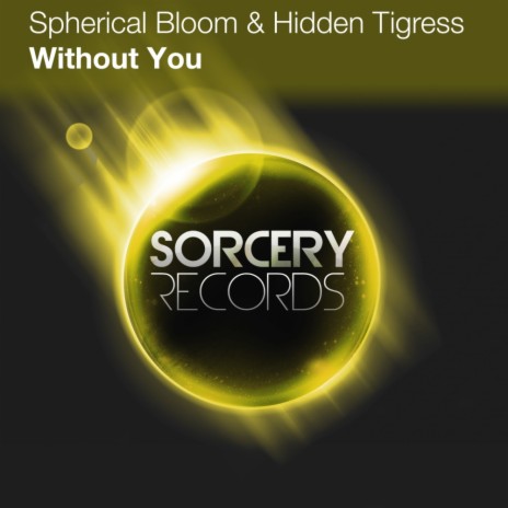 Without You (Yuriy From Russia Remix) ft. Hidden Tigress | Boomplay Music