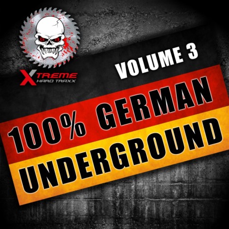 Frequenzum Siller Platte (Original Mix) | Boomplay Music