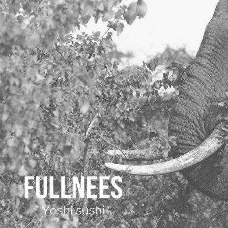 Fullness (Original Mix)