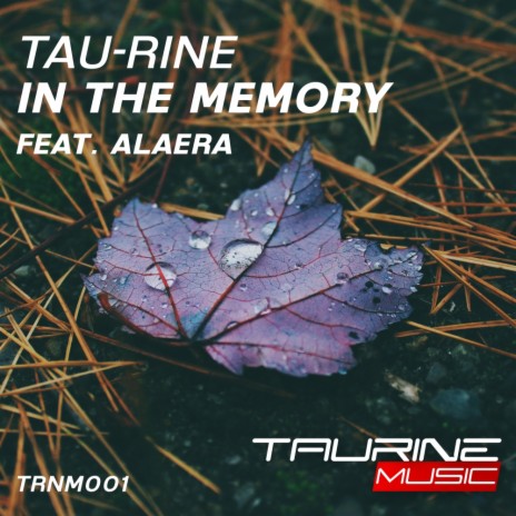 In The Memory (Radio Edit) ft. Alaera