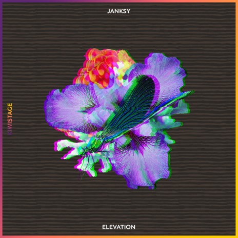Elevation (Original Mix) | Boomplay Music