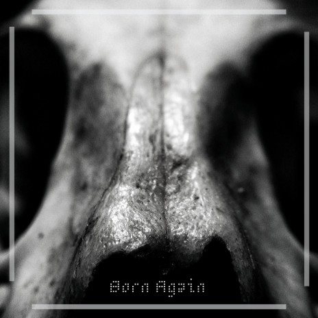 Born Again | Boomplay Music