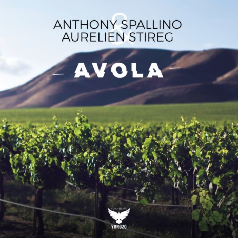 Avola (Original Mix) ft. Aurelien Stireg | Boomplay Music
