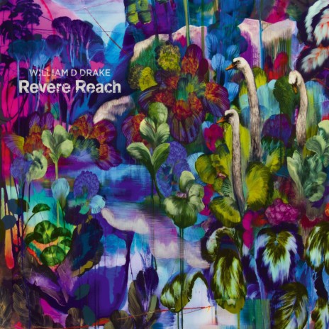 Revere Reach | Boomplay Music