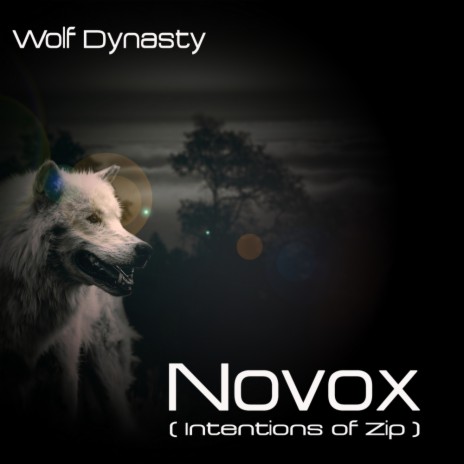 Novox (Intentions of Zip) (Original Mix) | Boomplay Music