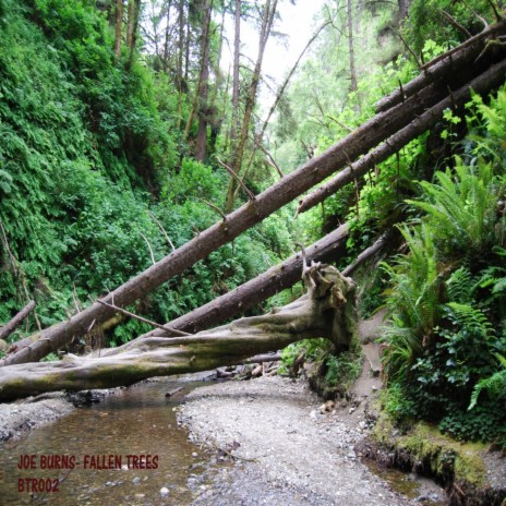 Fallen Trees (Instrumental Mix) | Boomplay Music