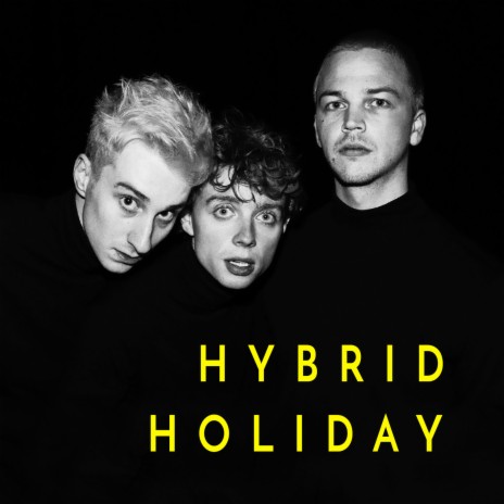 Hybrid Holiday | Boomplay Music