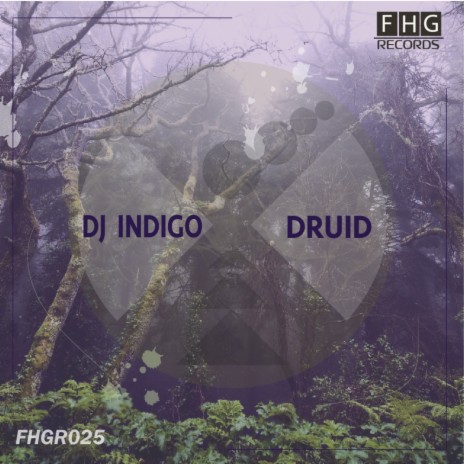 Druid (Original Mix) | Boomplay Music