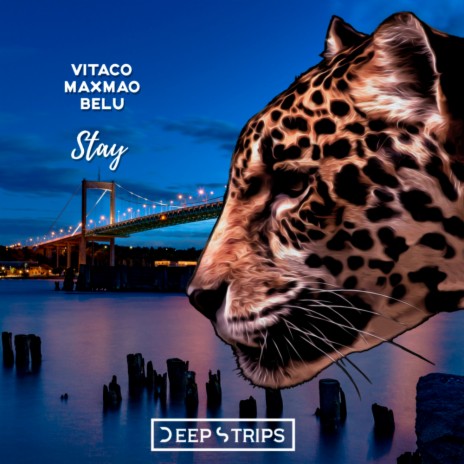 Stay (Radio Edit) ft. MaxMao & BeLu