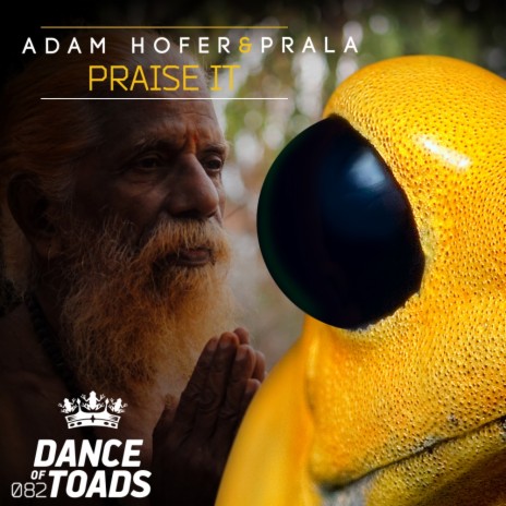 Praise It (Radio Edit) ft. Prala | Boomplay Music