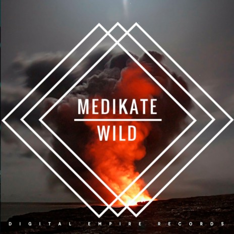 Wild (Original Mix)