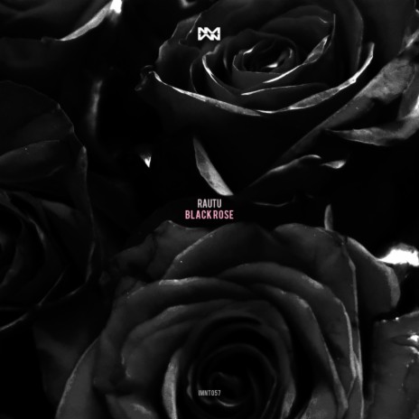 Black Rose (Original Mix)