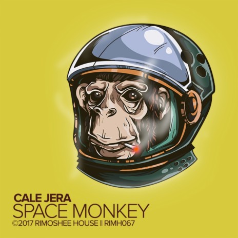 Space Monkey (Original Mix)
