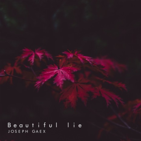 Beautiful Lie (Original Mix) | Boomplay Music