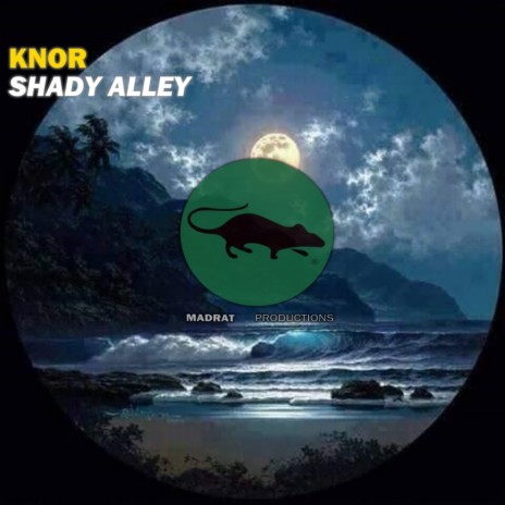 Shady Alley (Original Mix) | Boomplay Music