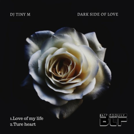 Love of My Life (Original Mix) | Boomplay Music