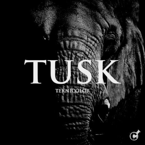 Tusk (Original Mix)
