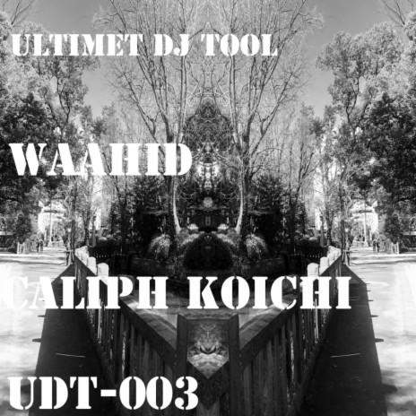 Waahid (Original Mix)