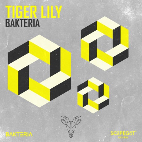 Tiger Lily | Boomplay Music